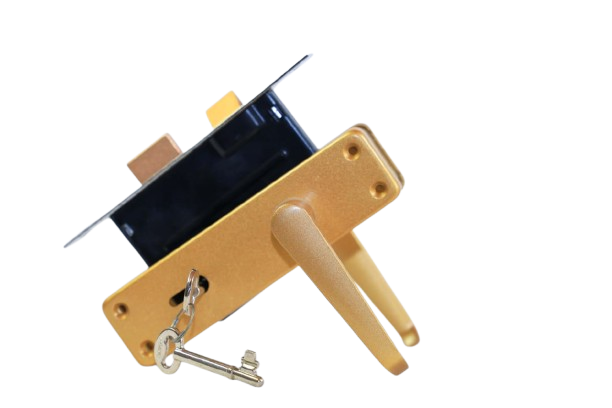 TC-003_GOLD_-removebg-preview